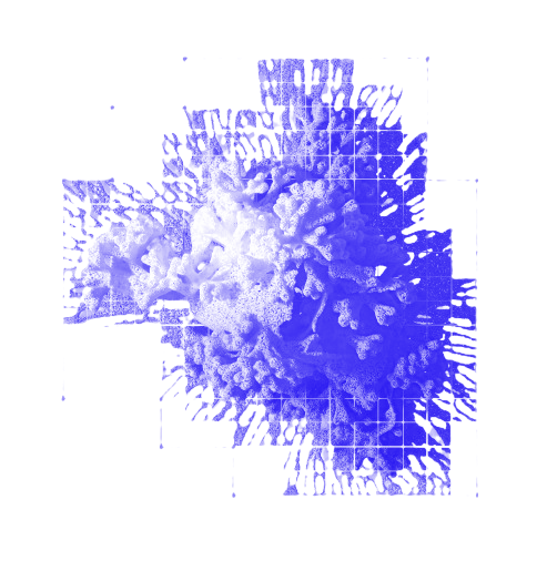 duotone (1)